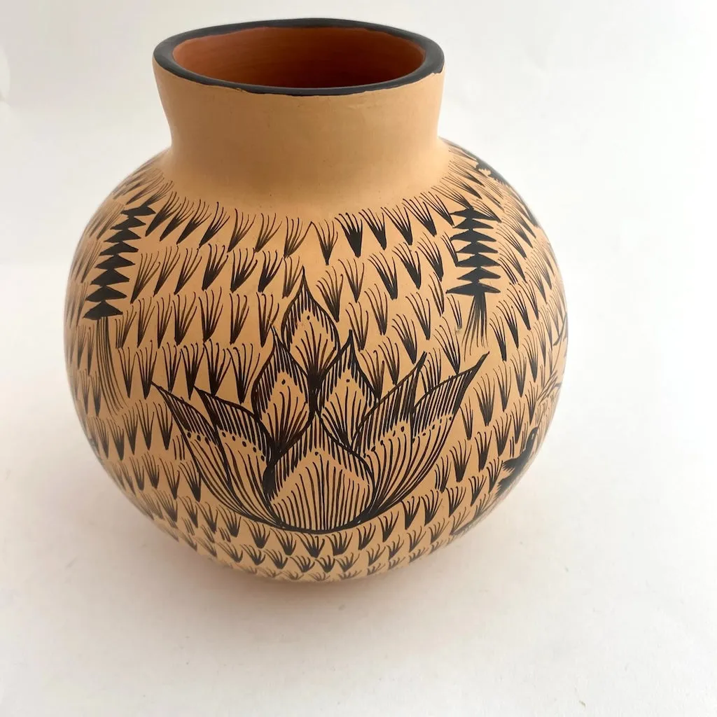 Burnished Clay Pot-Huancito