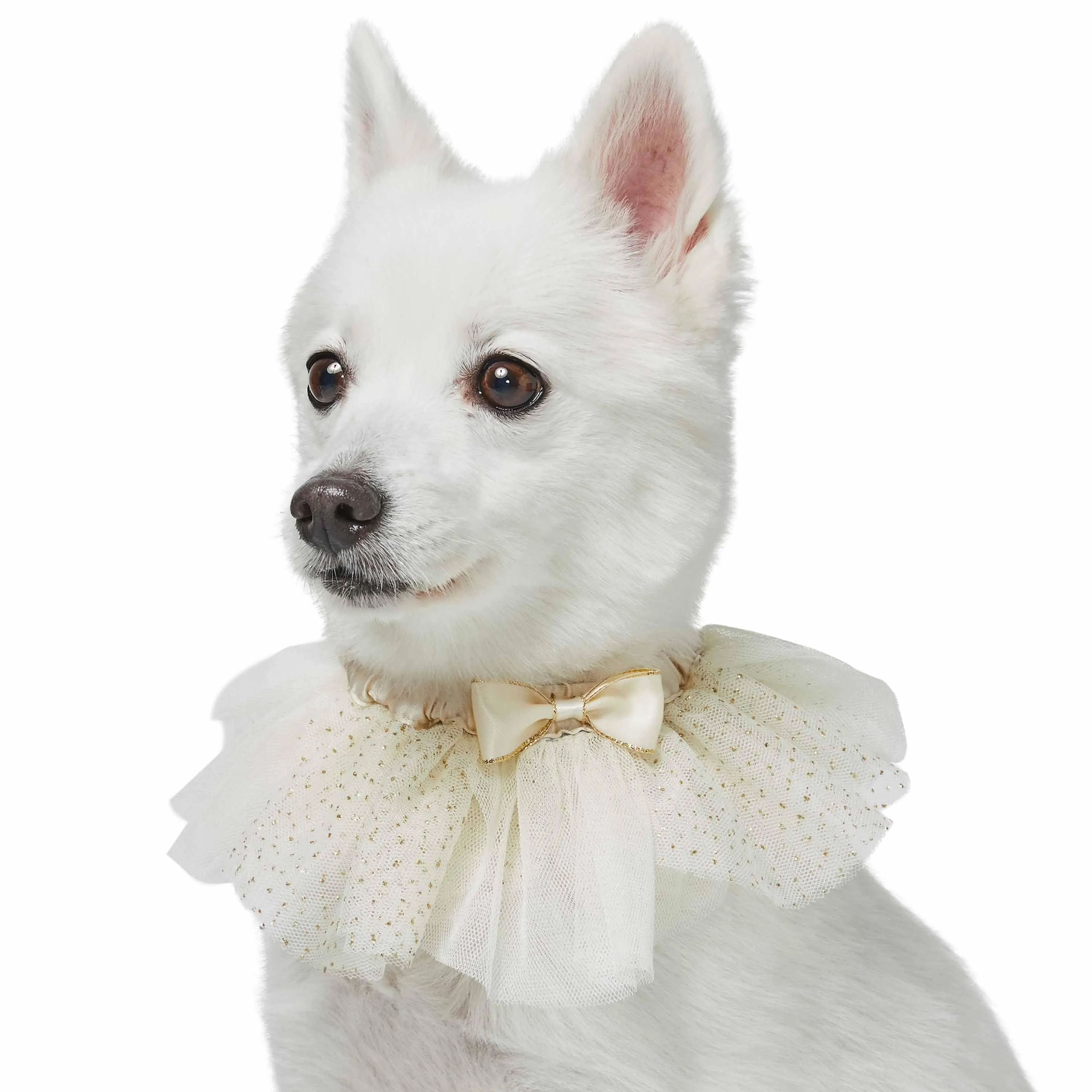 Dog of Honor Wedding Princess Lace Dog Collar