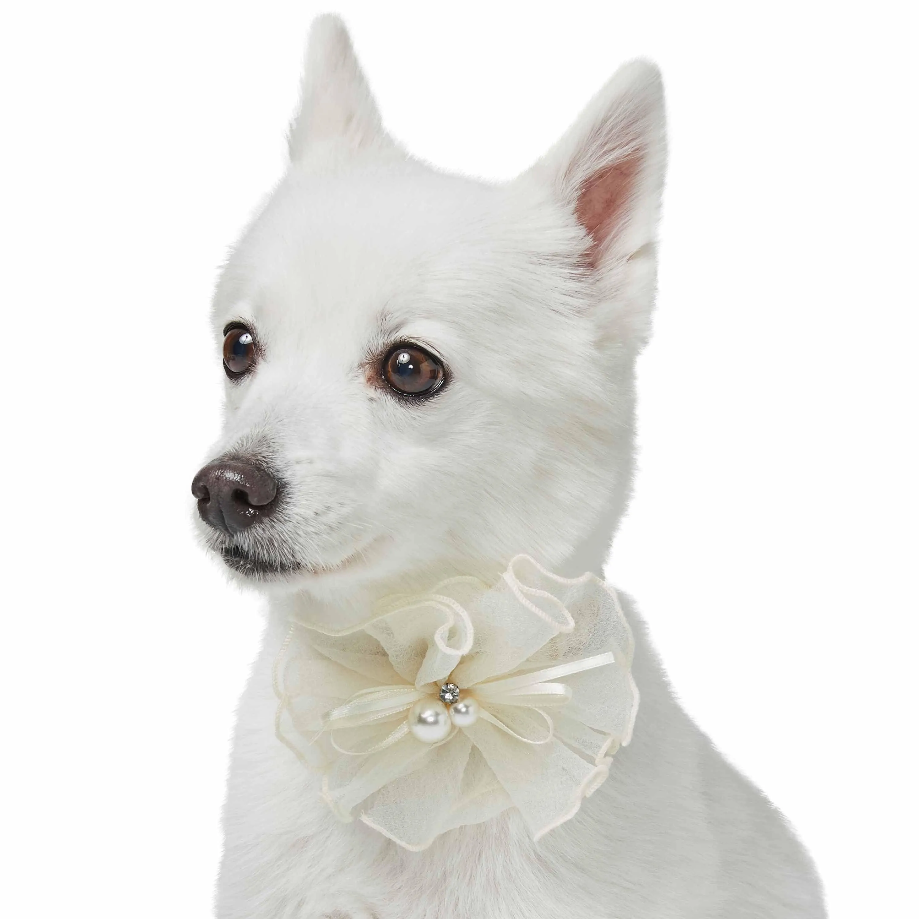 Dog of Honor Wedding Princess Lace Dog Collar