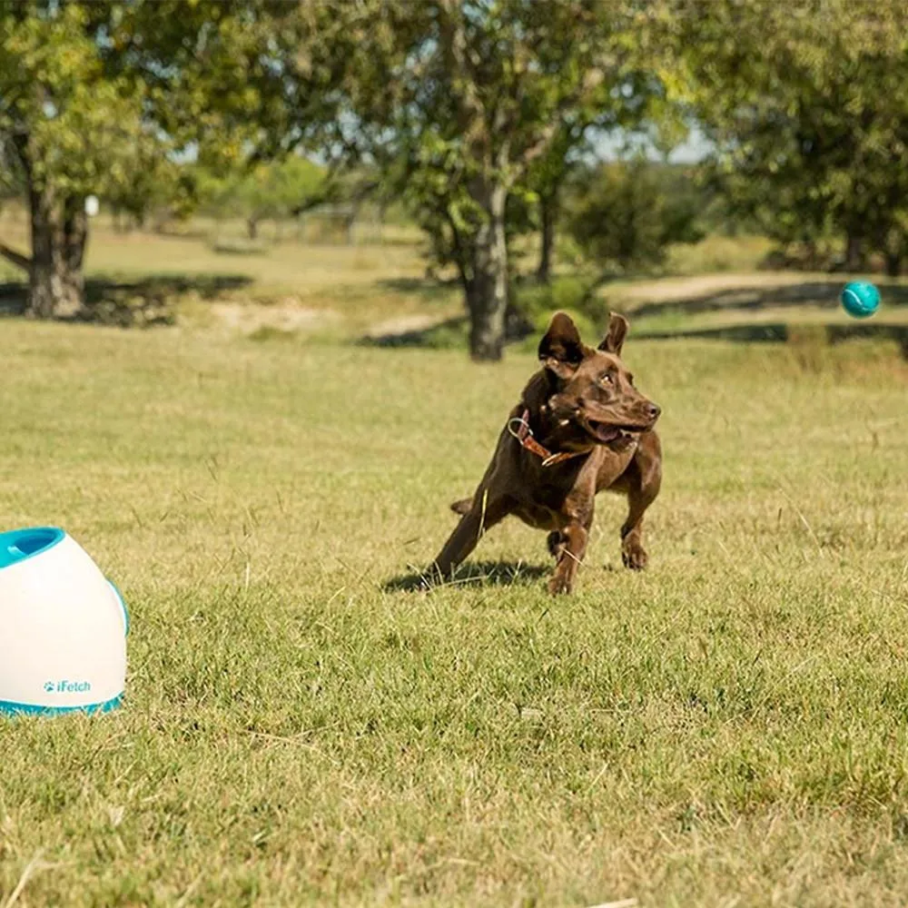 iFetchToo Dog Ball Machine for Large Dogs