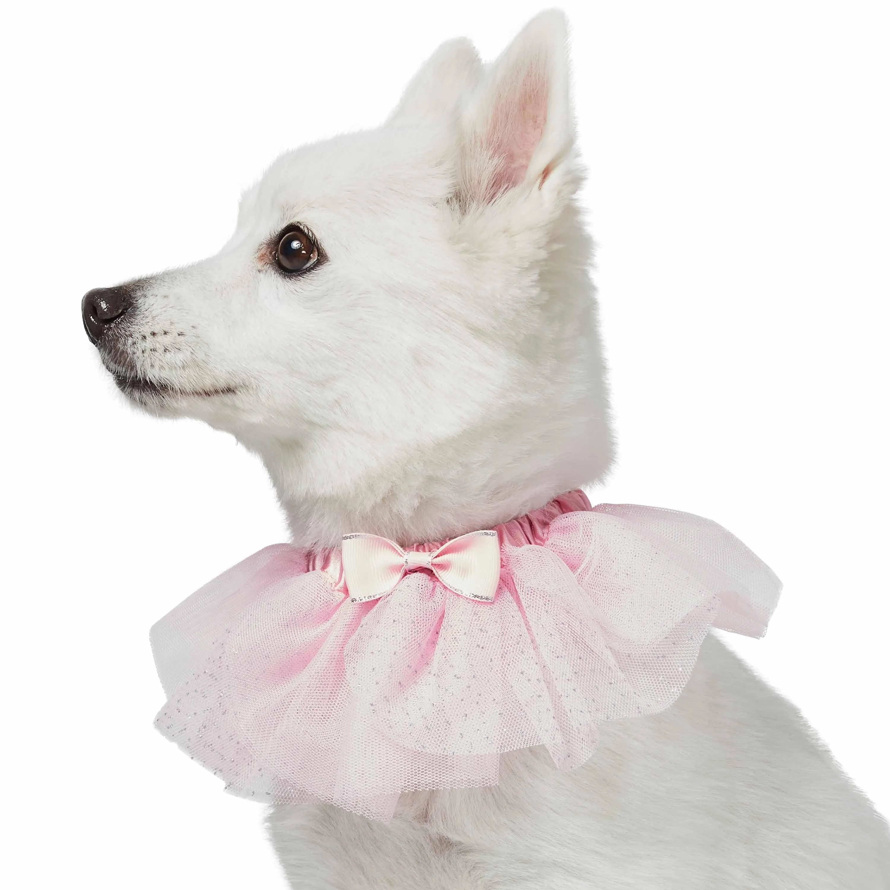 My Little Princess Lace Dog Collar with Embroidered Mesh and Bowtie