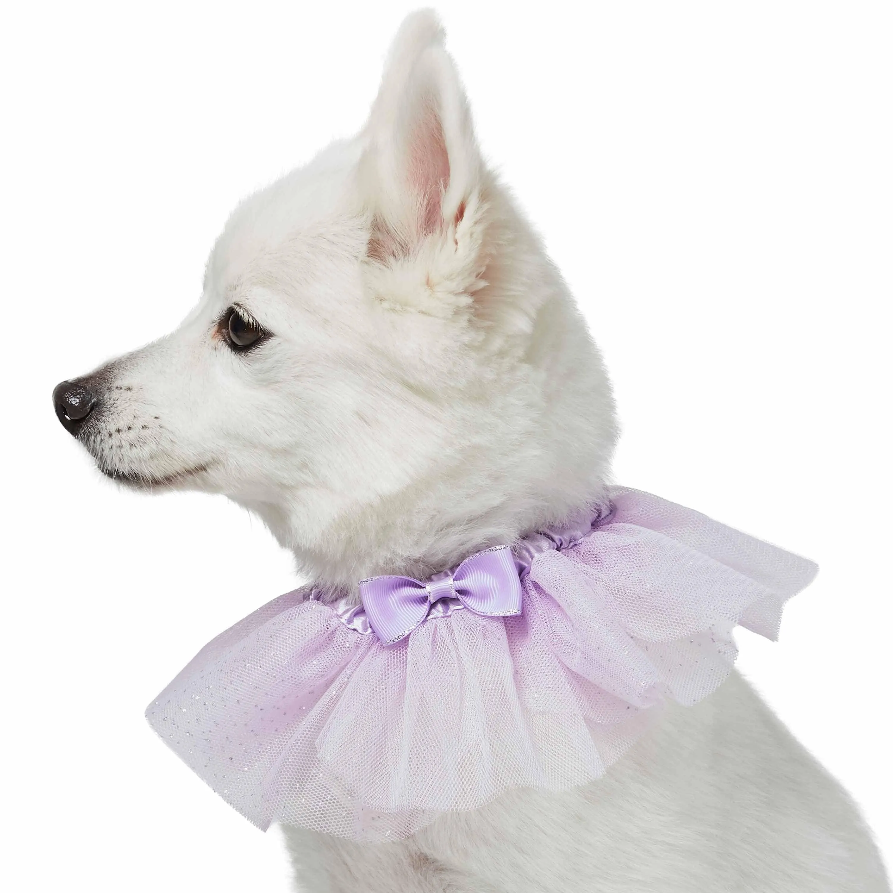 My Little Princess Lace Dog Collar with Embroidered Mesh and Bowtie