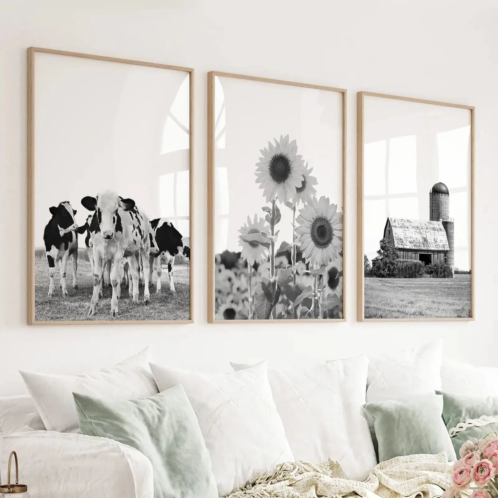 Rustic Black White Wall Art Set. Cows, Sunflowers, Old Barn