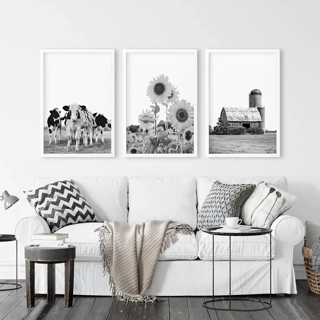 Rustic Black White Wall Art Set. Cows, Sunflowers, Old Barn