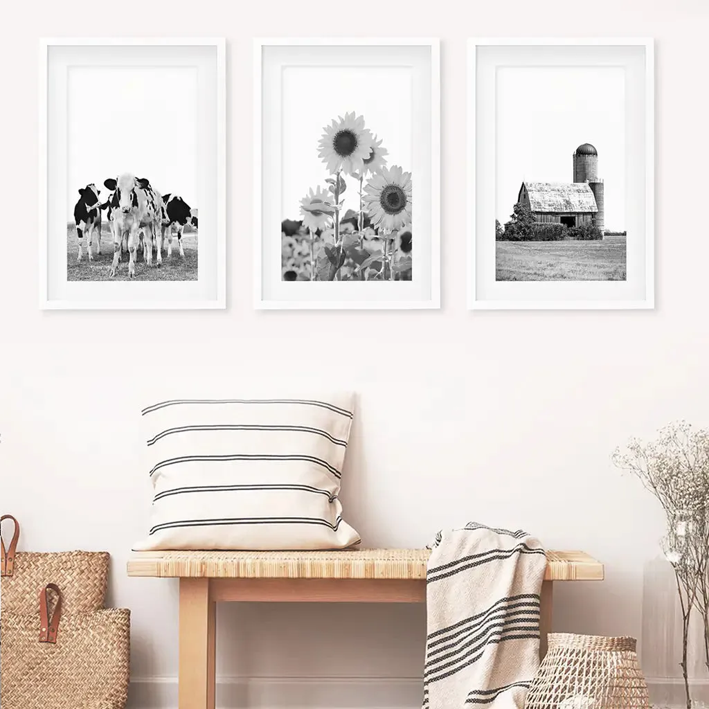 Rustic Black White Wall Art Set. Cows, Sunflowers, Old Barn