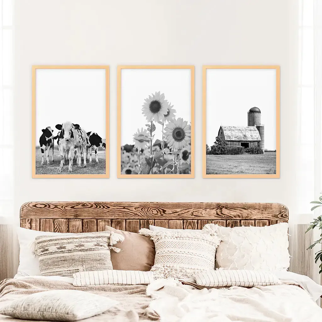 Rustic Black White Wall Art Set. Cows, Sunflowers, Old Barn