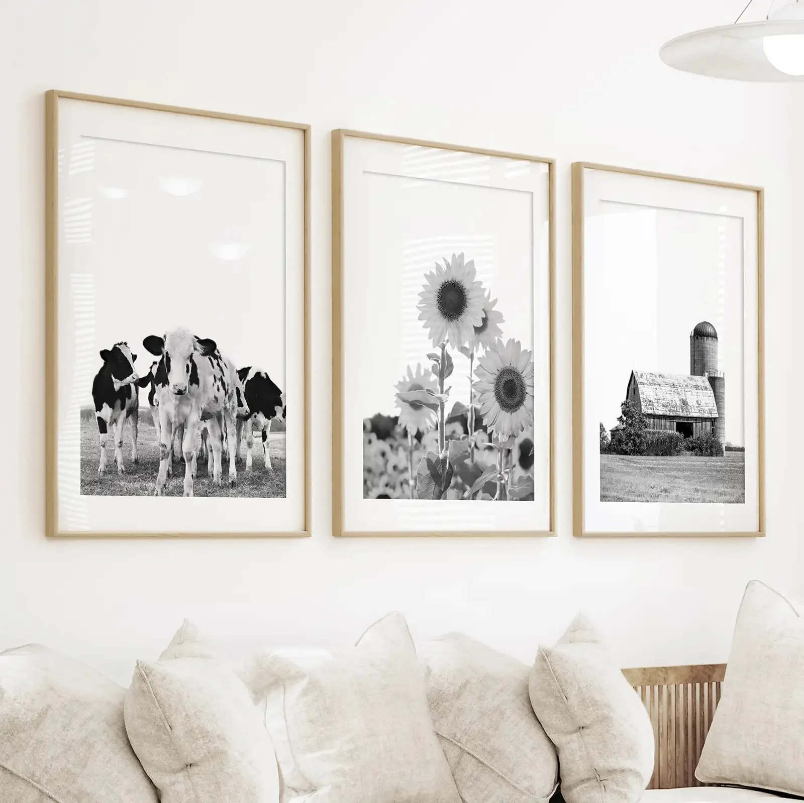 Rustic Black White Wall Art Set. Cows, Sunflowers, Old Barn