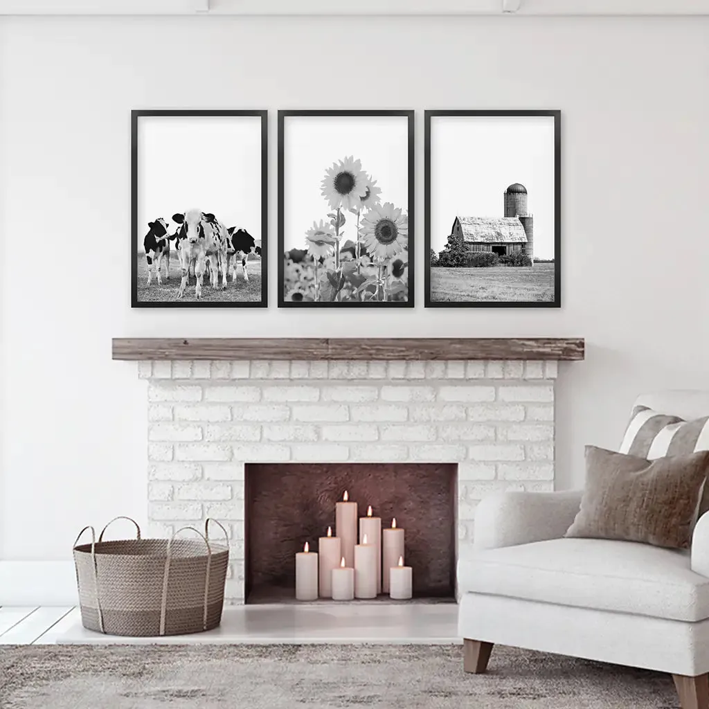 Rustic Black White Wall Art Set. Cows, Sunflowers, Old Barn