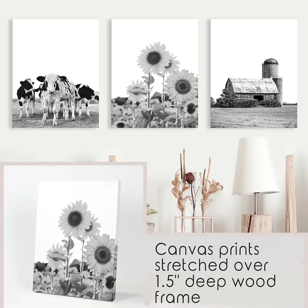 Rustic Black White Wall Art Set. Cows, Sunflowers, Old Barn